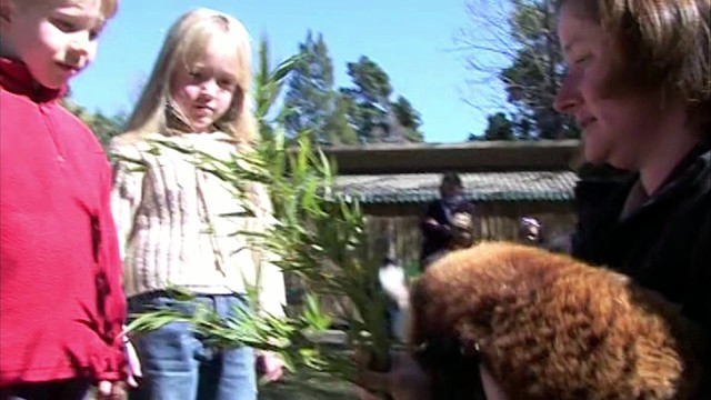 Carike Keuzenkamp - At the Zoo