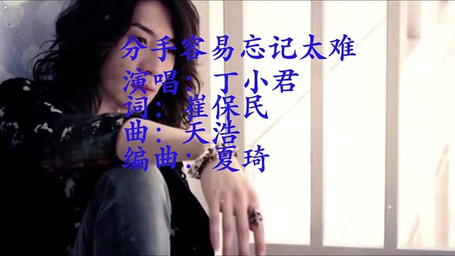 丁小君 - 分手容易忘记太难 (KTV版)