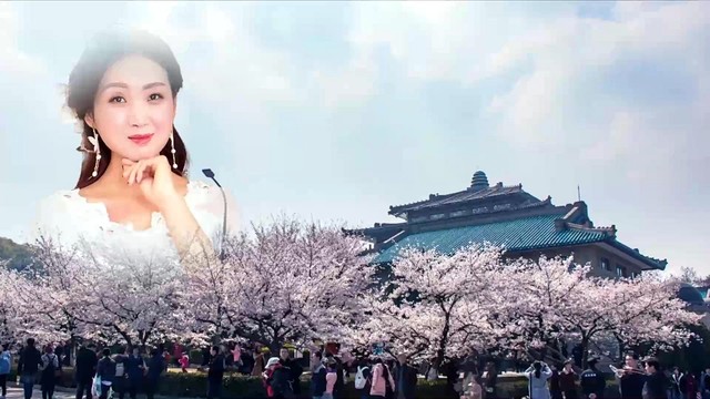 党芳妮 - 逆行者