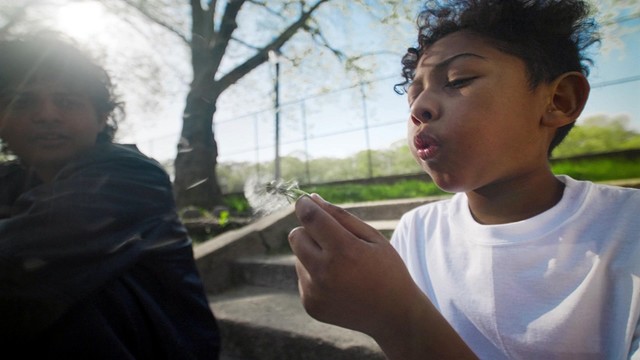 Curtis Waters - DEATH KEEPS CALLING MY NAME(feat. Shrimp)