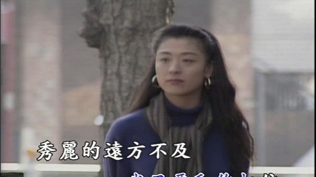 杨燕 - 幸福在这里 (KTV版)