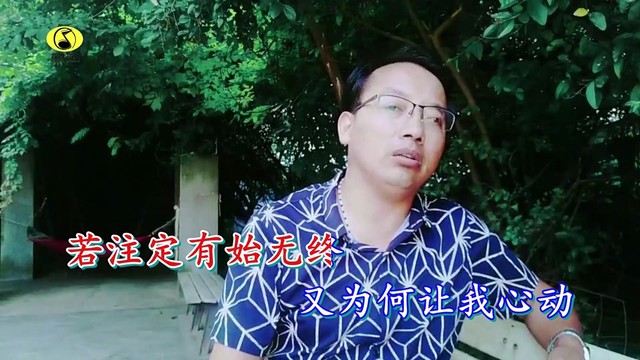 王桂海 - 何必再相逢 (KTV版)