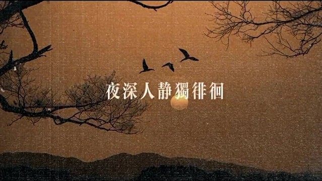 野哥 - 寂寞沙洲冷(烟嗓版)