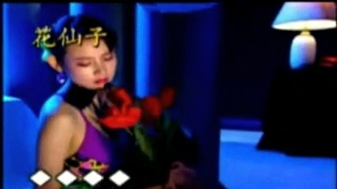 龙飘飘 - 成长的岁月 (KTV版)