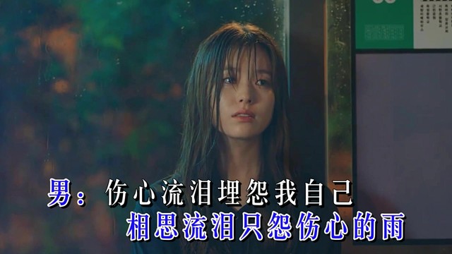 王觉 - 又下伤心雨 (KTV版)