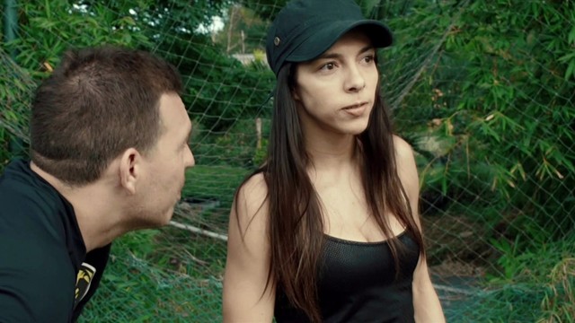 Pequeño Fénix - Sobrenatural