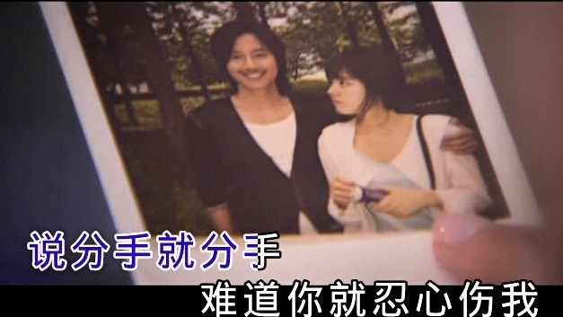 泽尔丹 - 当你走的时候我哭了 (KTV版)