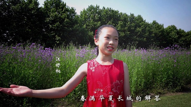 陈嘉琪 - 我们的中华