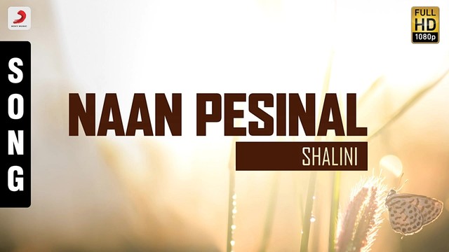 Sujatha - Naan Pesinal (音频版)