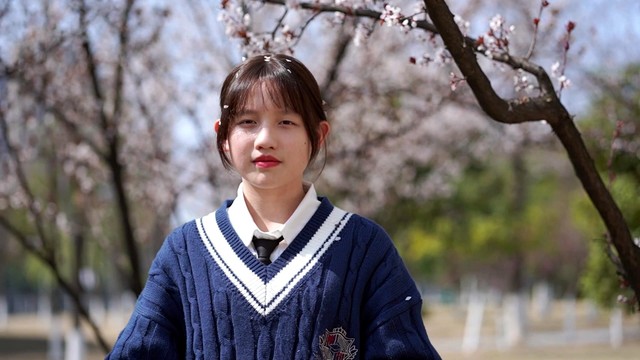 张怡萱 - 破晓·江南雪