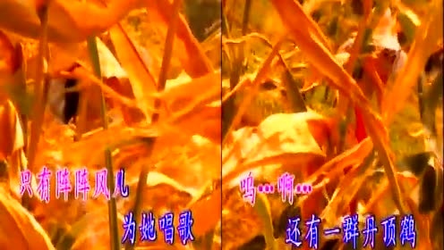 朱哲琴 - 一个真实的故事 (KTV版)