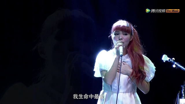许哲珮 - 树 (《圆舞曲》不插电Live巡演北京站)