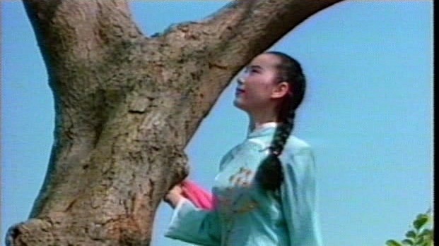 李玲玲 - 夫妻双双把家还 (KTV版)