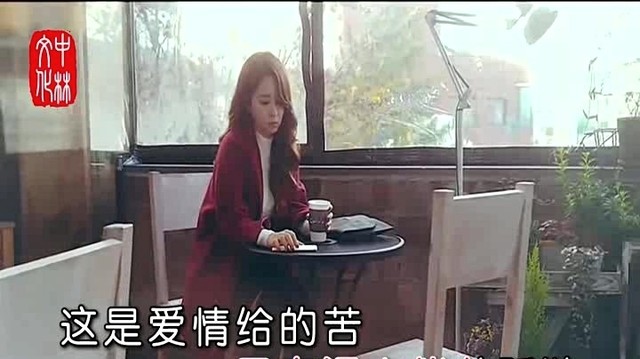 陈萍 - 孤情泪 (KTV版)