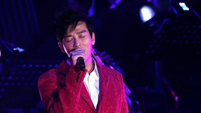 汤宝如 - 相思风雨中 (Live In Hong Kong / 2013)