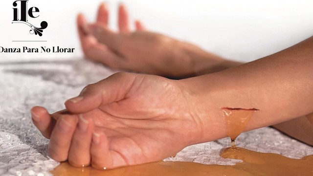 Ile - Danza Para No Llorar (音频版)