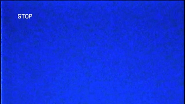 Always Never - Wylin' (歌词版)