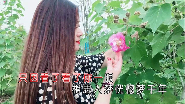 露·如烟 - 相思入梦梦千年 (KTV版)