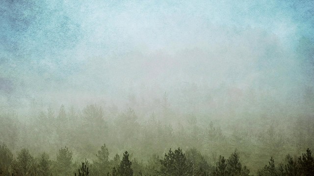 Michael Forster - Vladimir's Blues