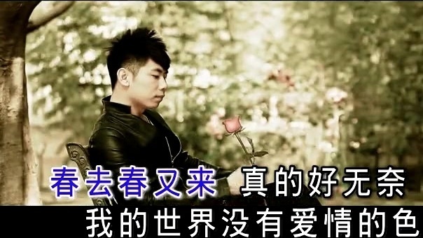 金久哲 - 玫瑰花开 (KTV版)