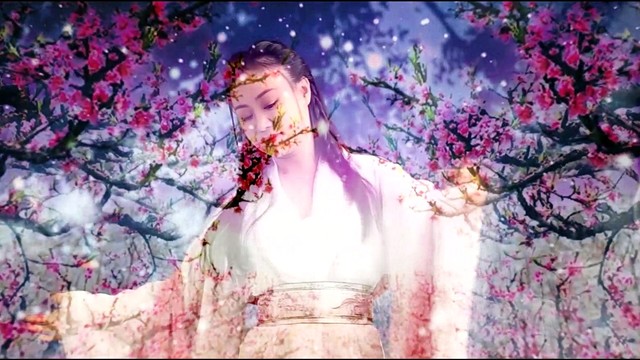 雯婷 - 又见梅花开