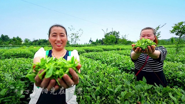 孙楠 - 新的天地 (舒楠监制 官方正式版)