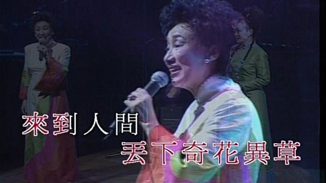 潘迪华 - 奇妙奇妙 (KTV版)