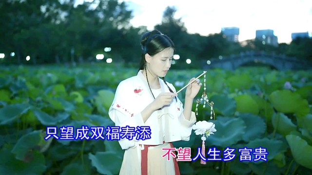 谭俊芳 - 荷塘鸳鸯 (KTV版)