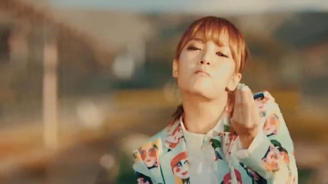 풍뎅이 - 배추보쌈