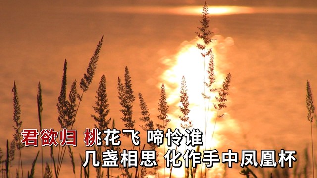 叶里 - 君欲归 (KTV版)