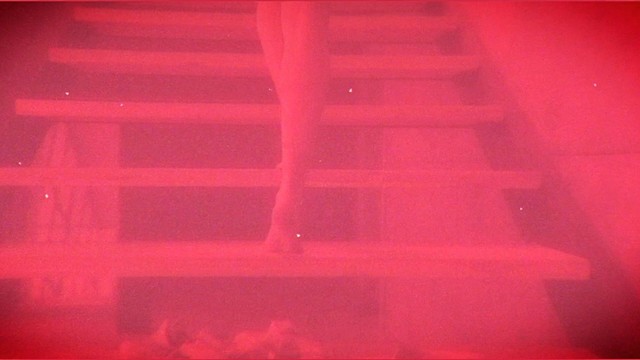 Thayana Valle - Clothes Off(feat. Thayana Valle) (歌词版)