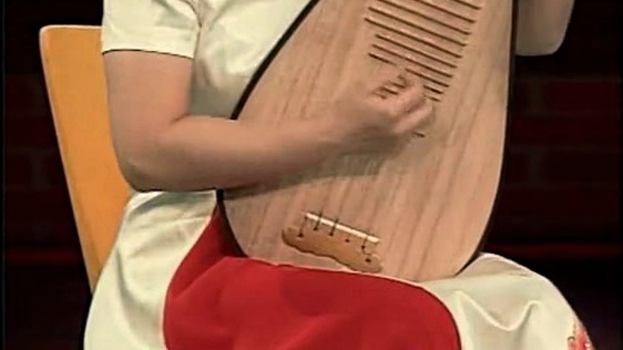 杨靖 - 月儿高 琵琶独奏