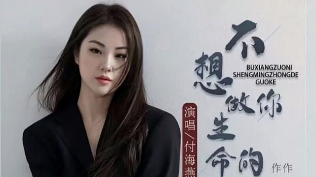 付海燕 - 不想做你生命中的过客 (KTV版)