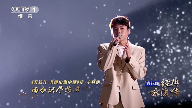 隔壁老樊_樊凯杰 - 少年不识愁滋味 (经典咏流传第三季 第7期) (Live)