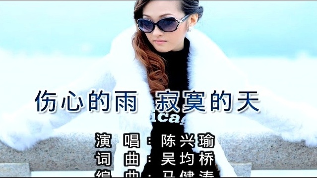 陈兴瑜 - 伤心的雨寂寞的天 (KTV版)