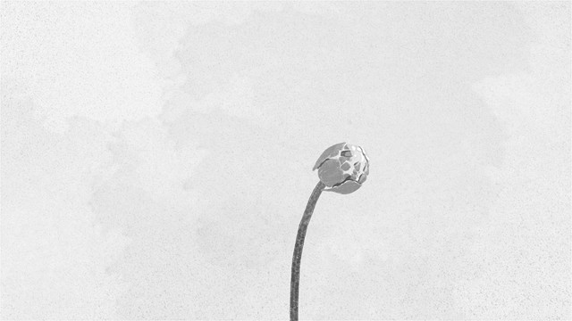 maco marets - L.A.Z.Y. 