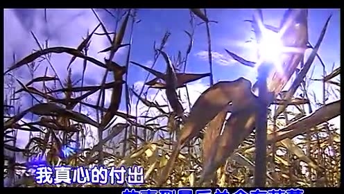 阿生 - 忘了怎么哭 (KTV版)