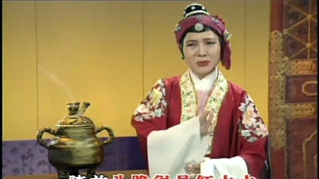 胡敏华 - 手心手背都是肉 (KTV版)