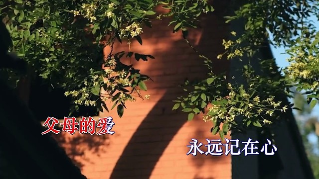 汪波 - 报答不了的恩情 (KTV版)