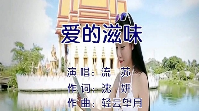 流苏 - 爱的滋味 (KTV版)