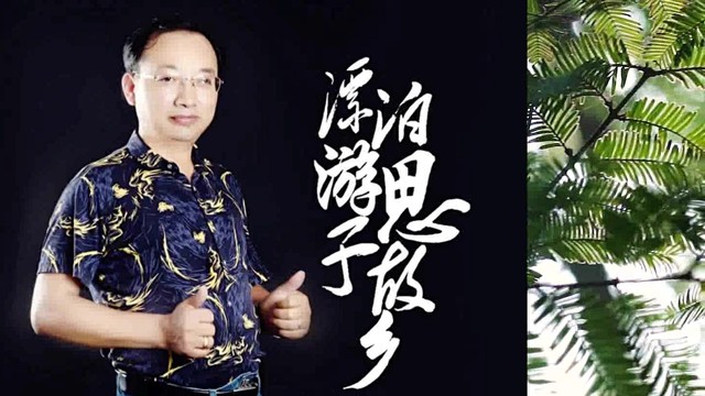 王桂海 - 漂泊游子思故乡