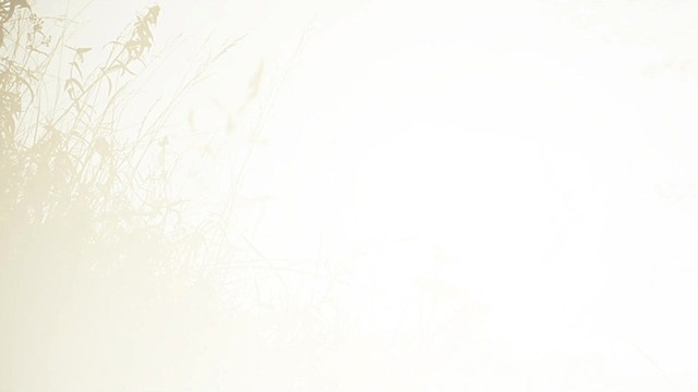 Camilo Sesto - Has Nacido Libre (歌词版)