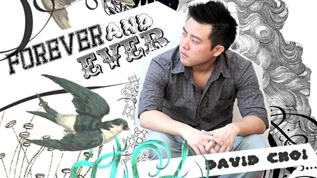 David Choi - This And That Is Life