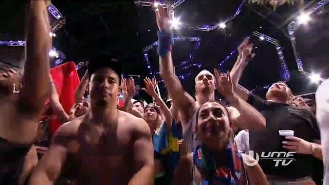 Alan Walker - Faded (Live)