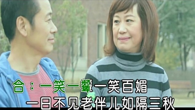 李天平 - 老伴儿 (KTV版)