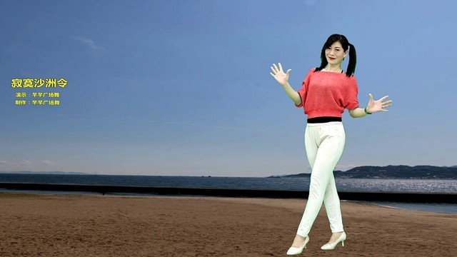广场舞 - 经典老歌广场舞《寂寞沙洲冷》忧伤情歌，动感时尚舞步，醉人好看 (广场舞)