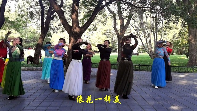 广场舞 - 小崔杨蔡老师领舞《马缨花情歌》妩媚醉人！紫竹院魅力朵朵广场舞 (广场舞)