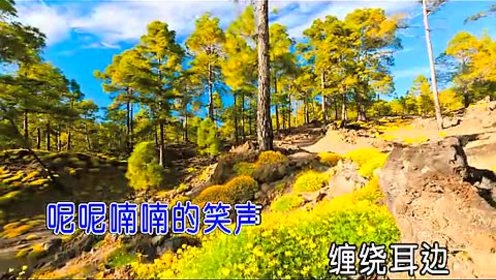 李杨飞 - 月光墓地 (KTV版)