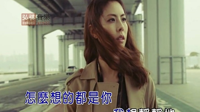 王媛渊 - 静静静静 (KTV版)