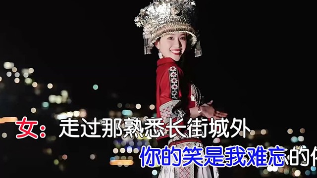 日月星辰 - 一颗痴心永不改 (DJ对唱版)